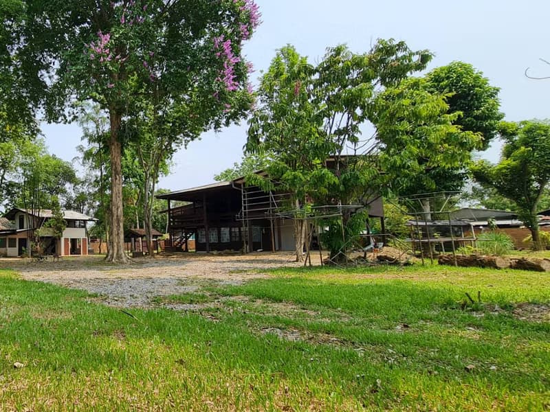 Land for Sale in Nong Phueng, Saraphi