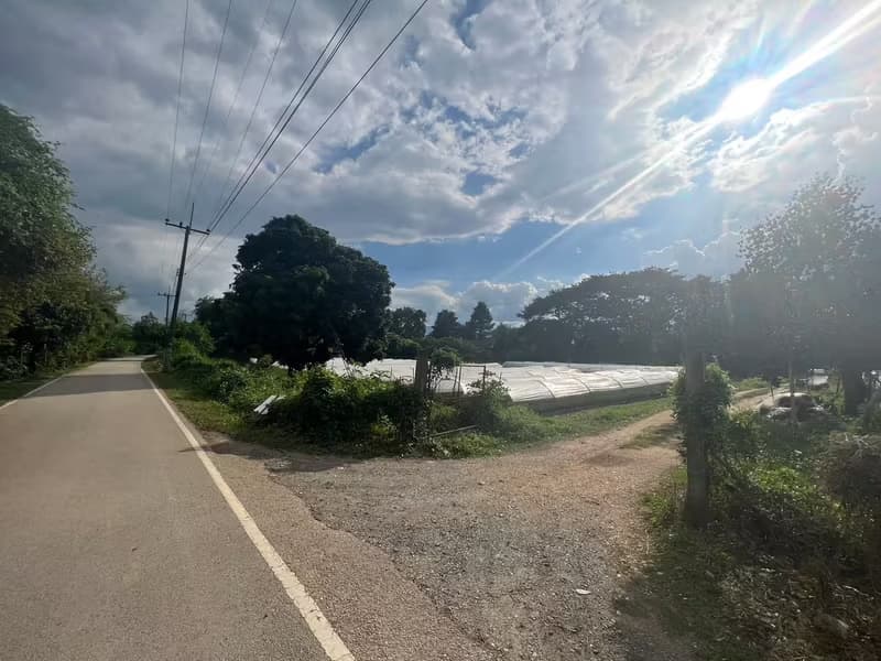 Land for Sale in Mueang Kaeo, Mae Rim