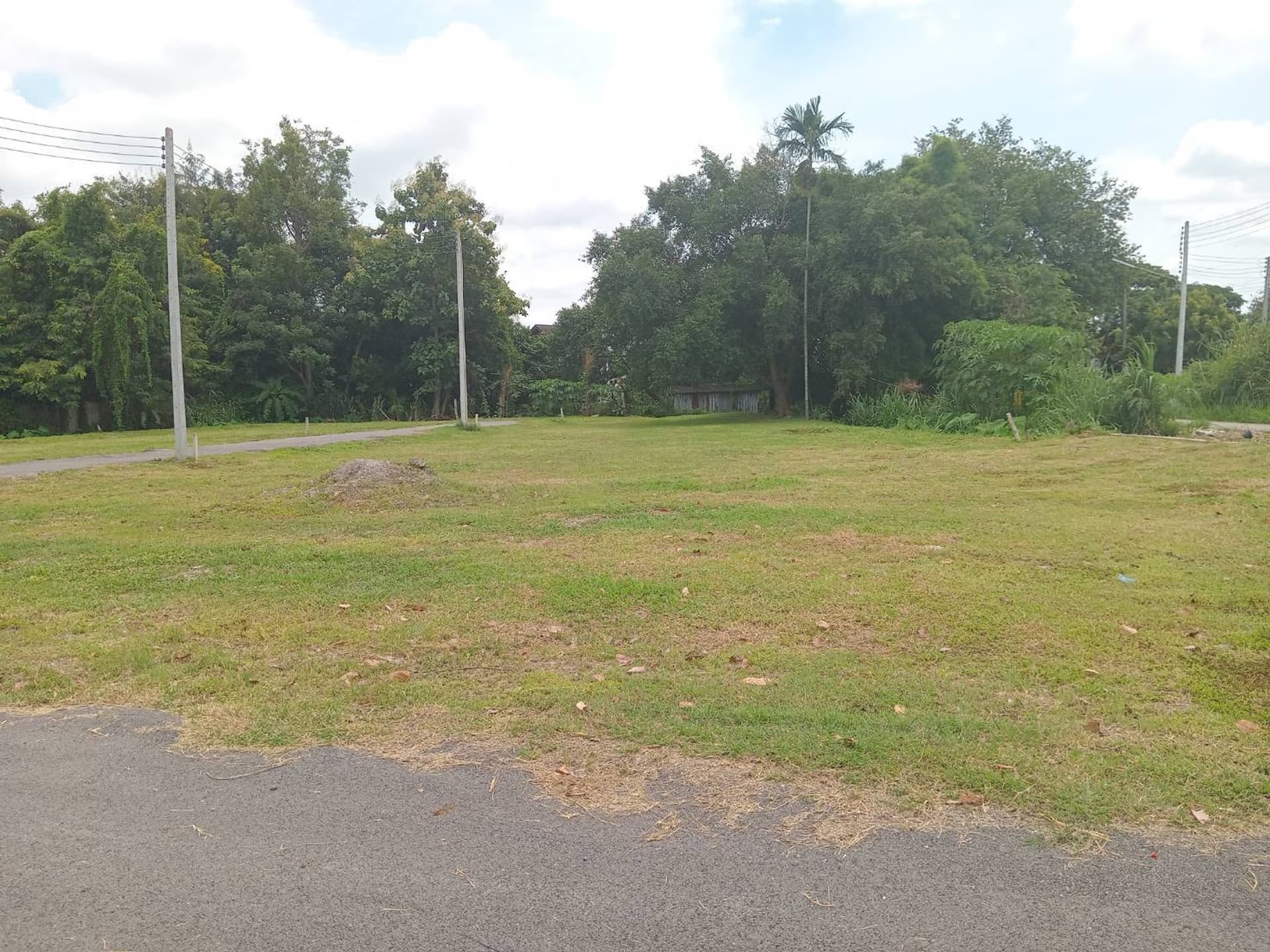  land สำหรับ ขาย ใน Mueang Chiang Mai District - Image 15