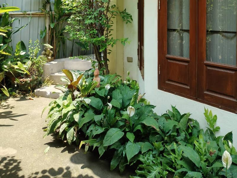  Land for Sale in Mueang Chiang Mai