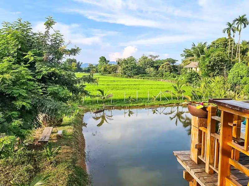 House for Sale in Choeng Doi, Doi Saket.  