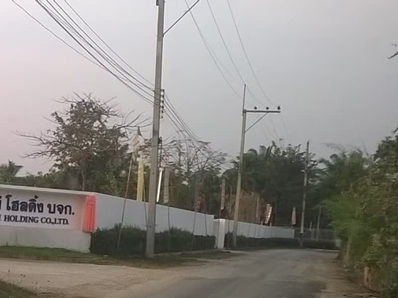  Land for Sale in อำเภอสันป่าตอง