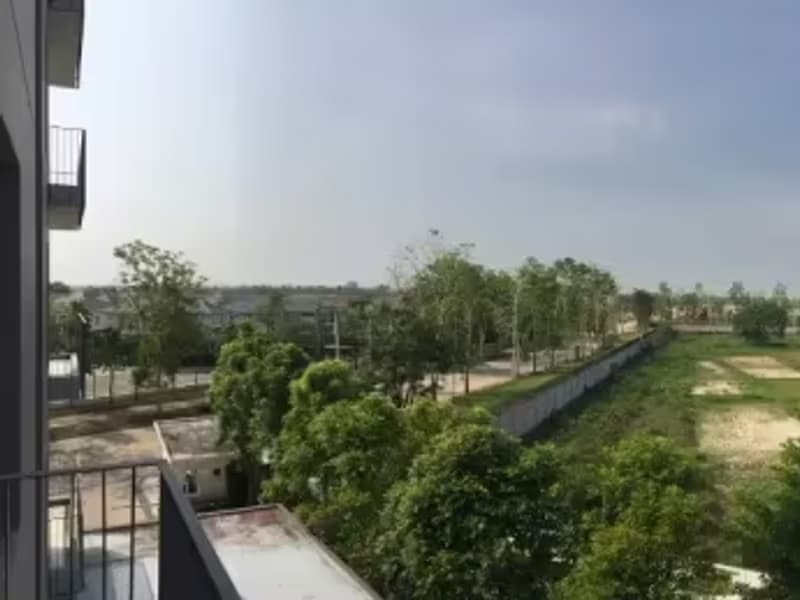 1 Bedroom Condo