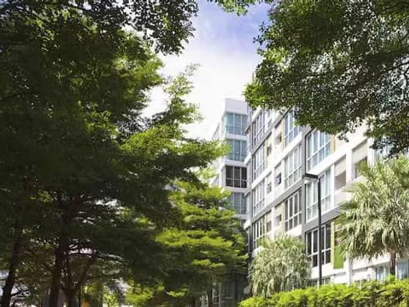 1 Bedroom Condo