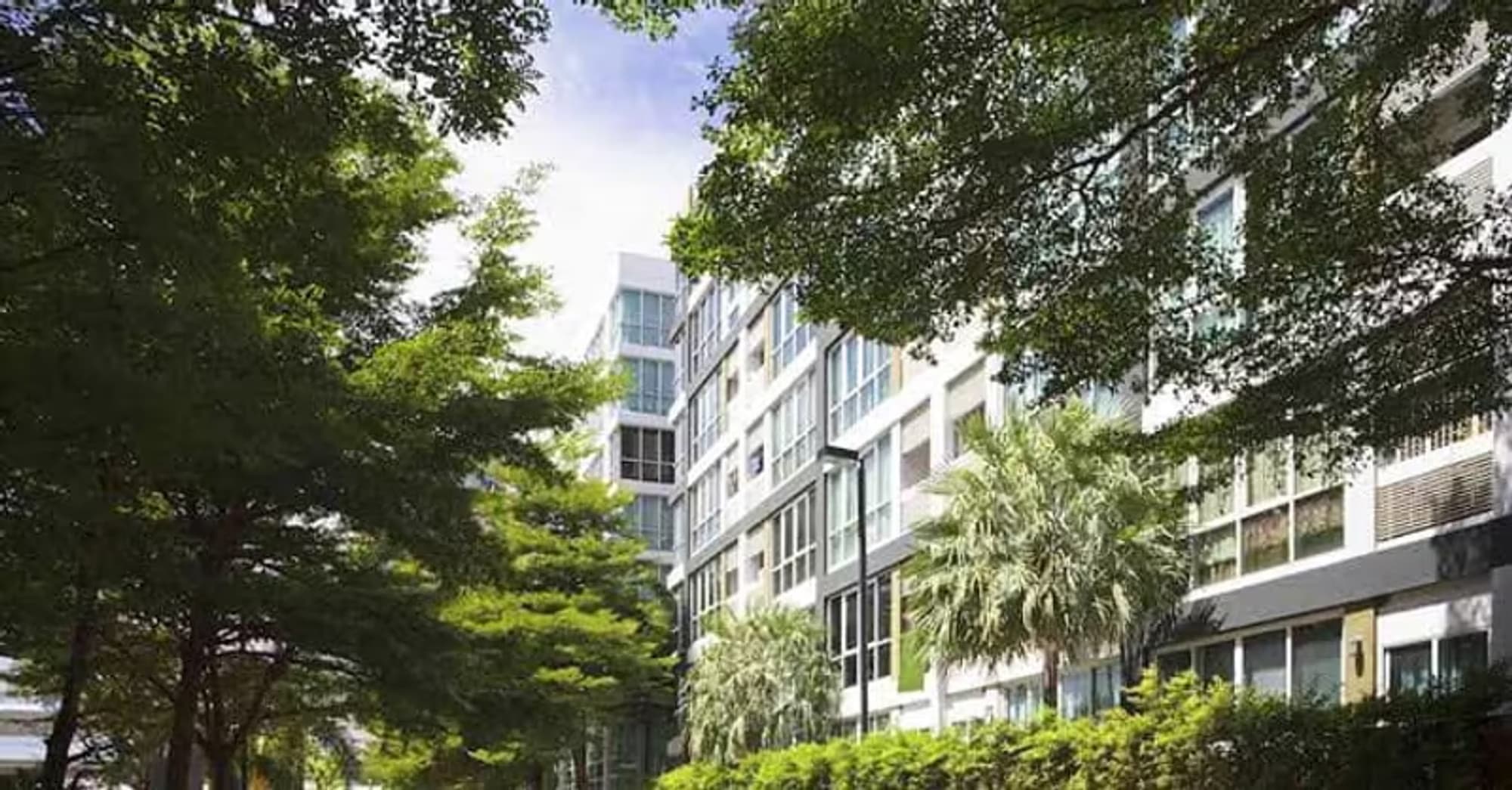 1 Bedroom Condo - Image 6