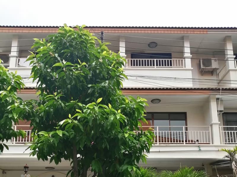 House for Sale, Rent in Suthep, Mueang Chiang Mai.