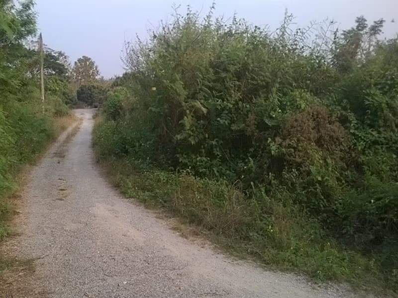  Land for Sale in อำเภอสันป่าตอง