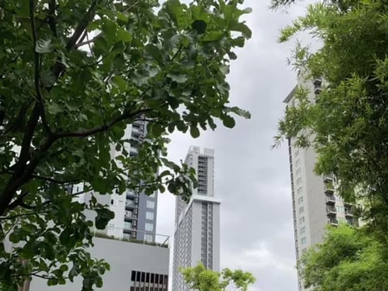 Condo for Sale at The Base Sukhumvit 77