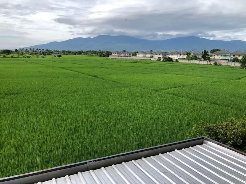 House for Sale, Rent in San Pong, Mae Rim.