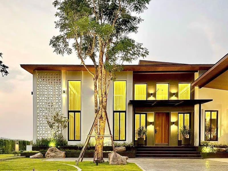 The Horse Homecation