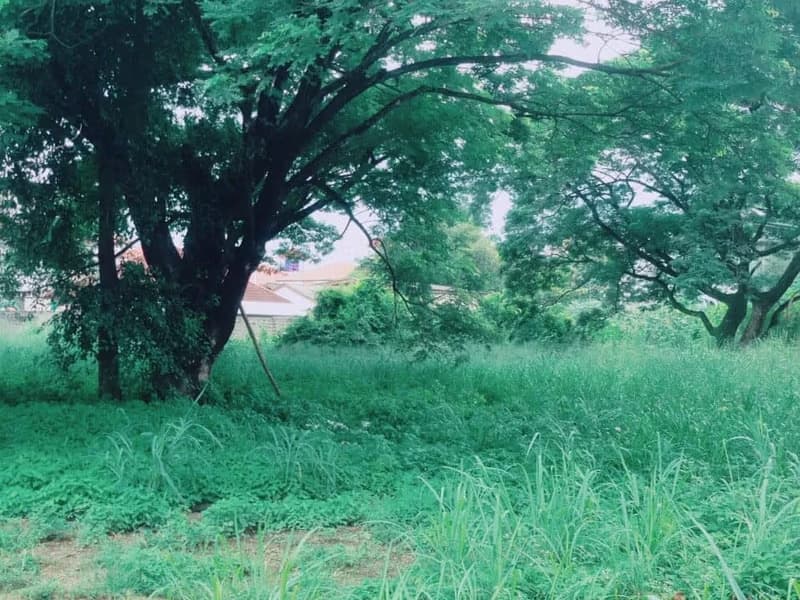 Code 1107 Large land in Santi Tham
