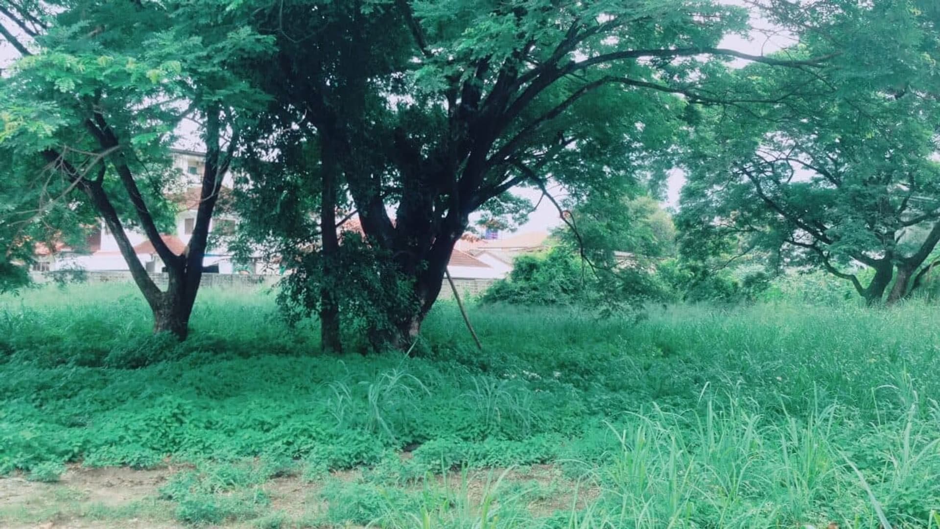 Code 1107 Large land in Santi Tham - Image 5
