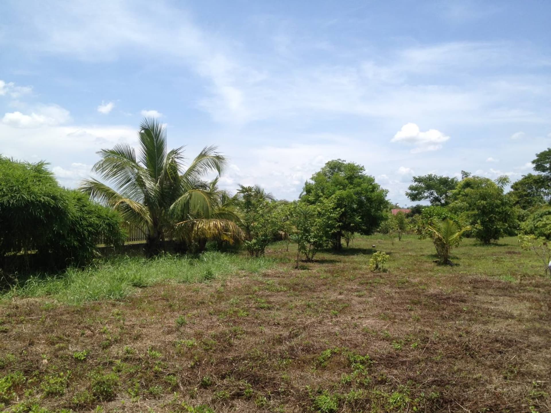  land 用于 出售 在 Saraphi - Image 5