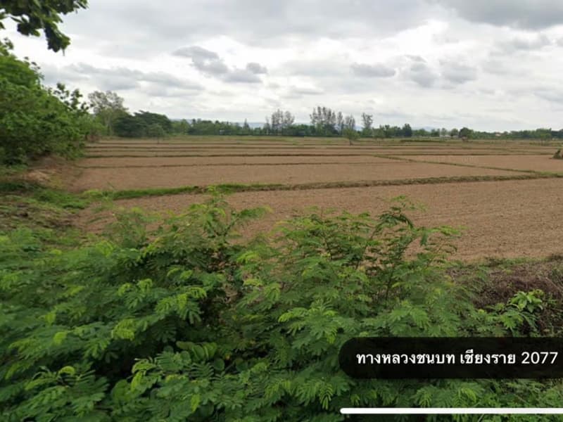  Land for Sale in Mueang Chiang Rai District