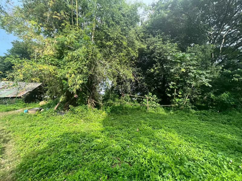 Land for Sale in Mueang Kaeo, Mae Rim