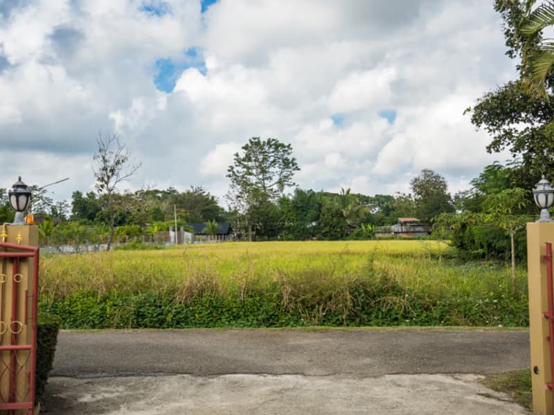 4 Bed House for Sale in อำเภอเมืองเชียงใหม่