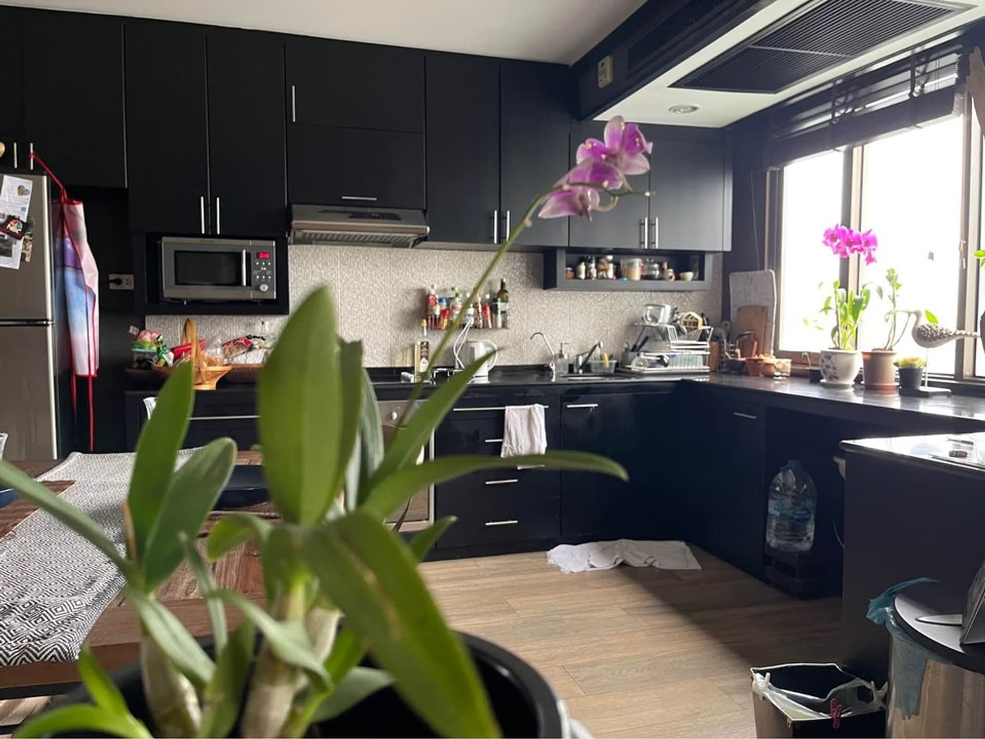 2 Bed Condo for Sale in Suan Luang - Image 11