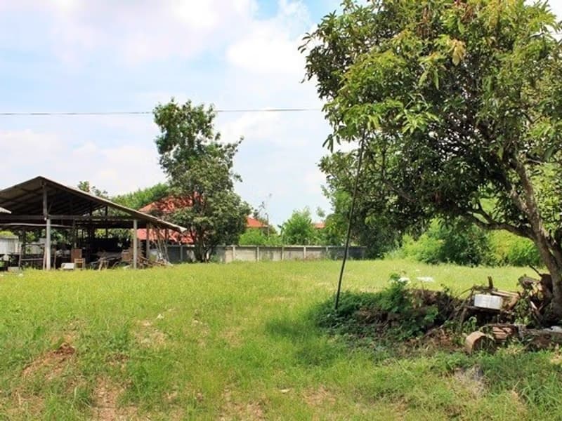  Land for Sale in Pa Daet District