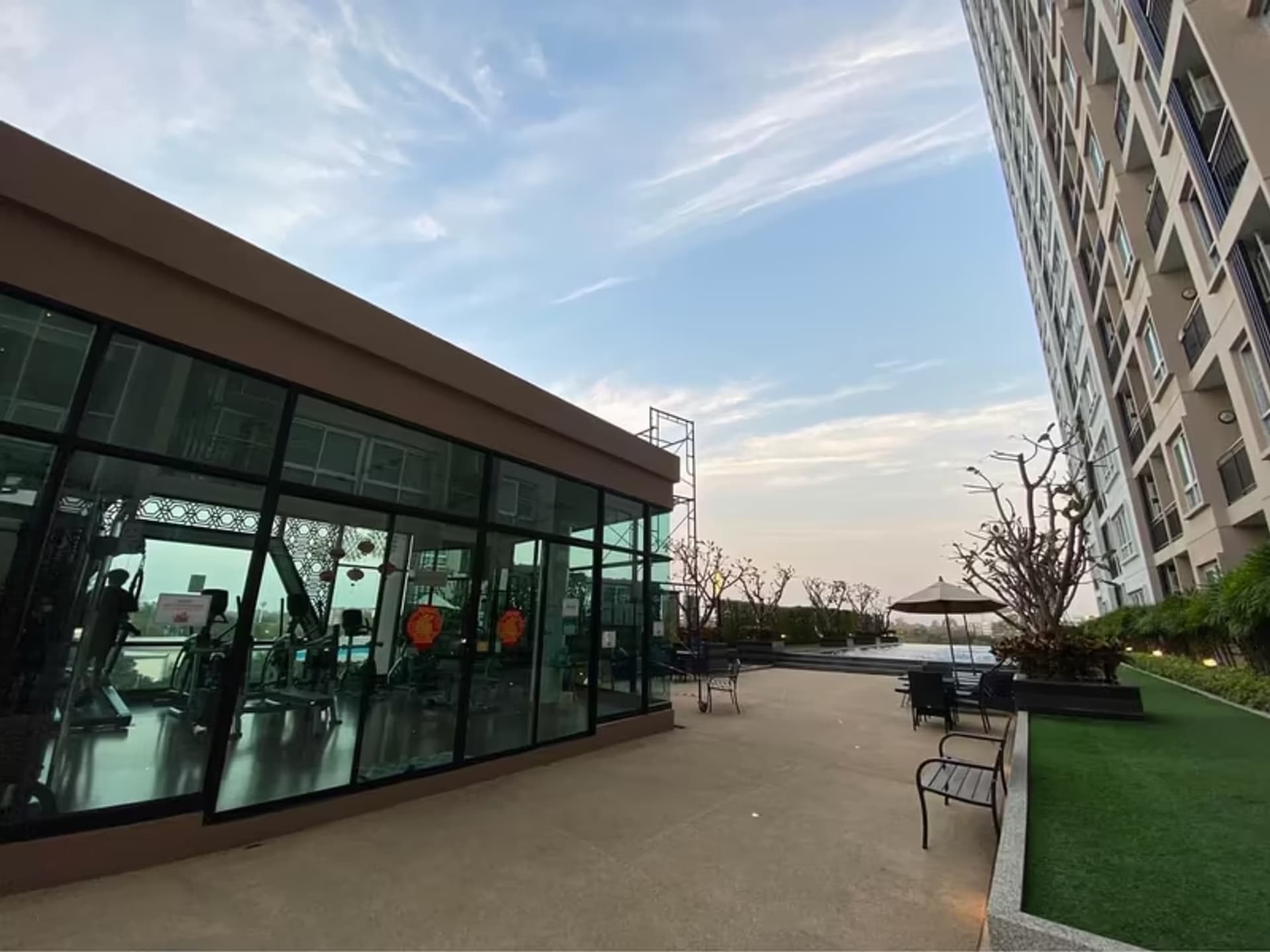  - Image 6