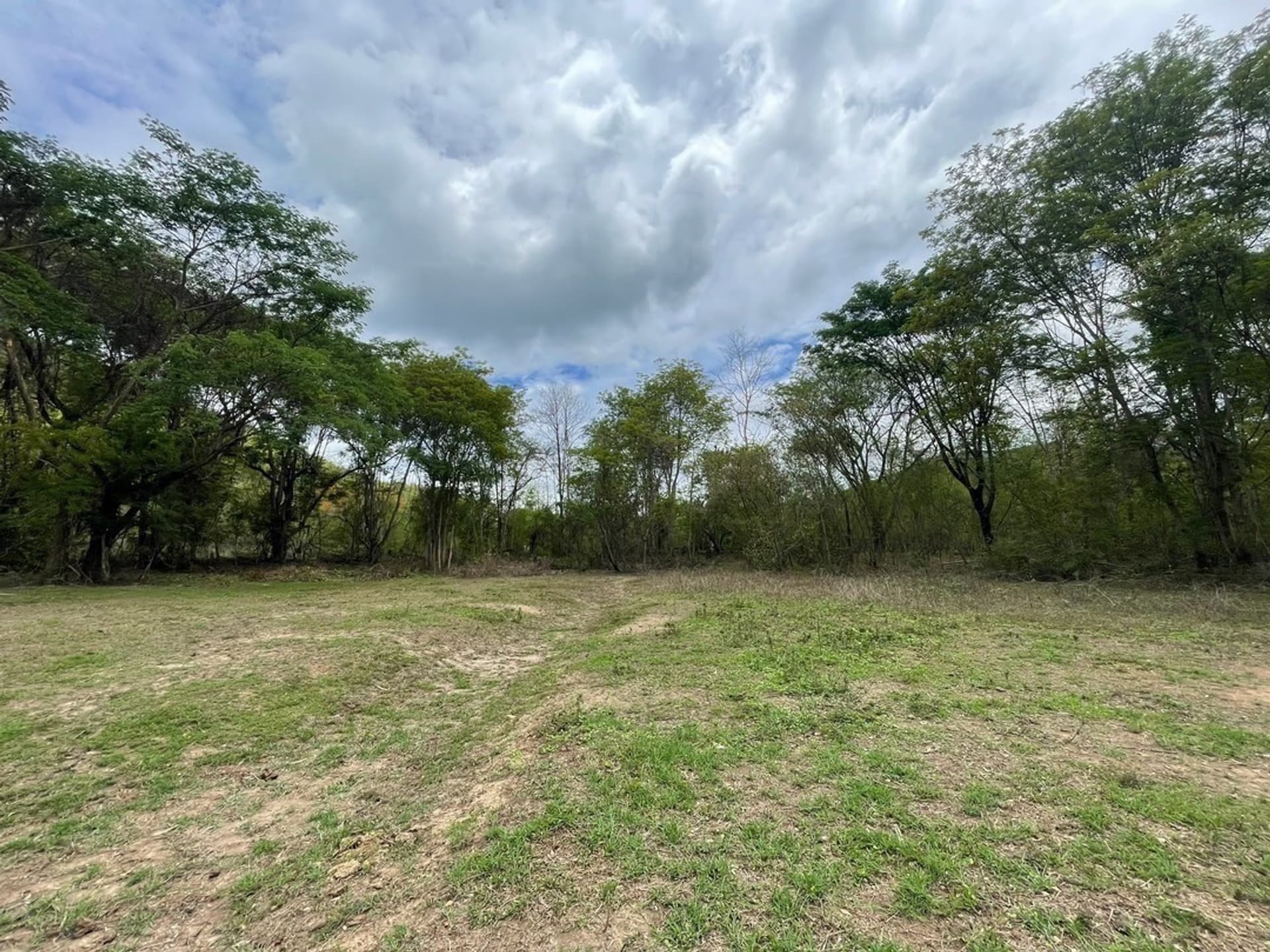  land 用于 出售 在 Doi Saket District - Image 4
