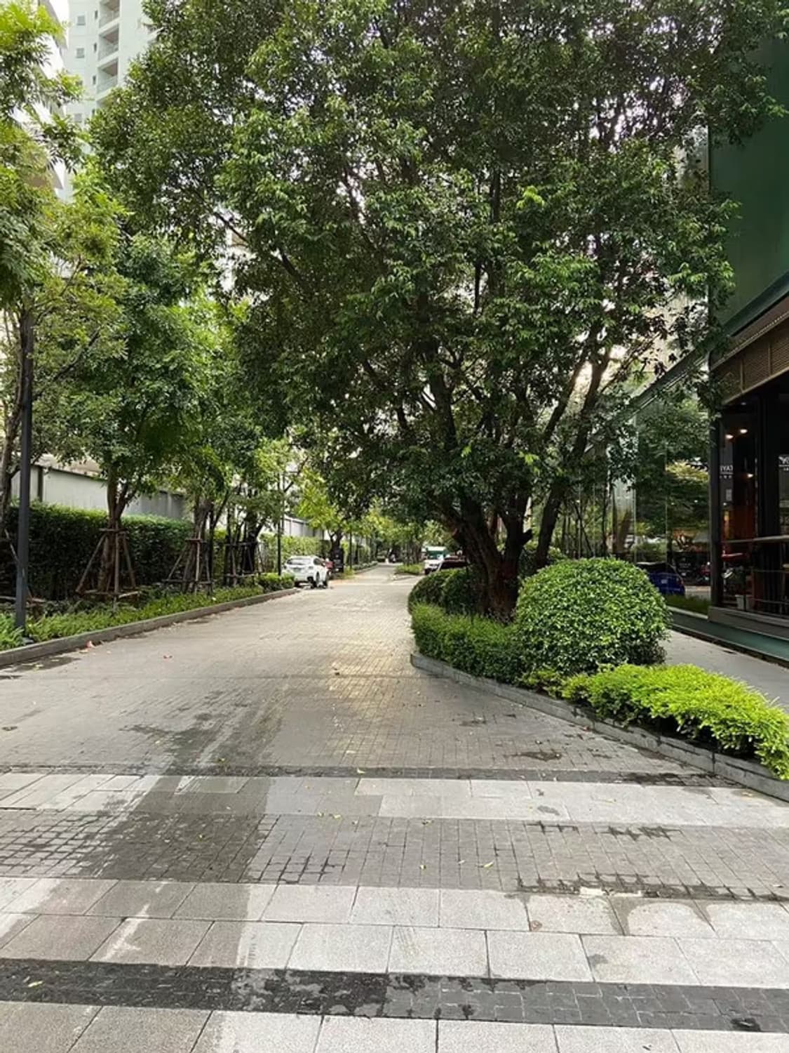 Condo for Sale at Park 24 (Park Origin Phrom Phong) - Image 14