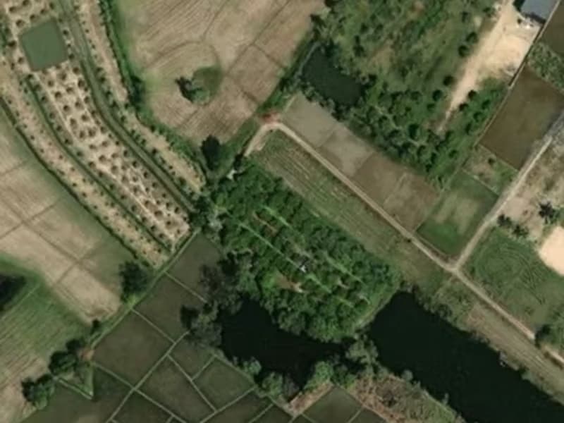 24 Rai Land