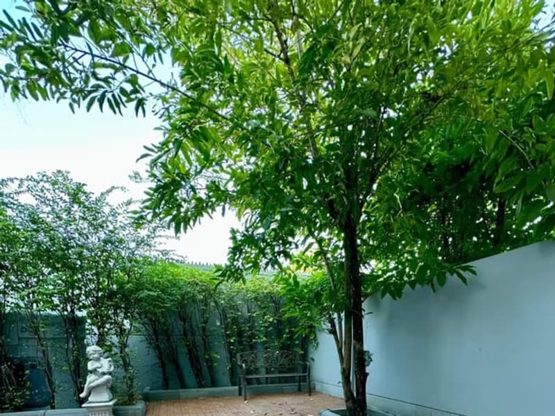 Townhouse for Rent, Sale w/Tenant at Indy Bangna-Ramkhamhaeng 2