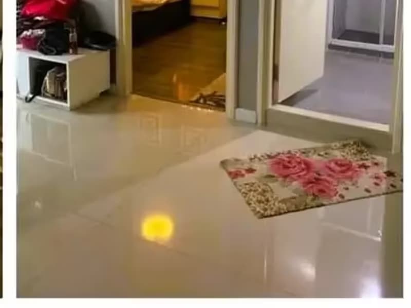 1 Bedroom Condo