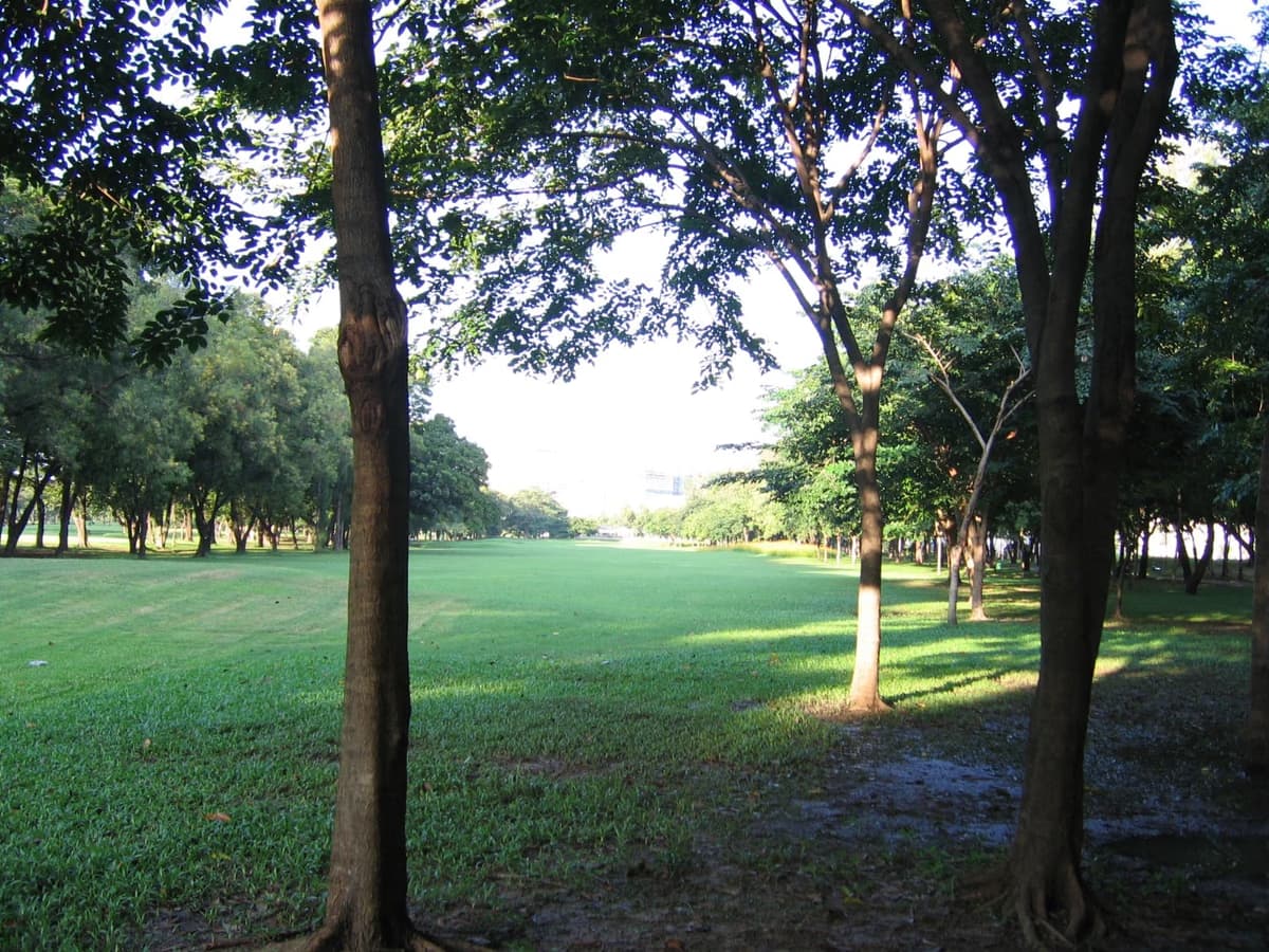 Wachirabenchathat Park