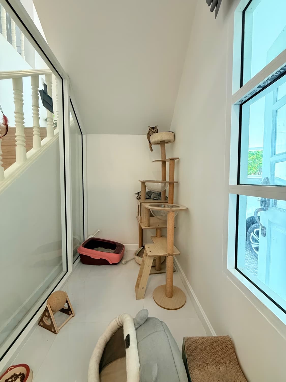 5 Bed House for Rent and Sale in Hang Dong - Image 49