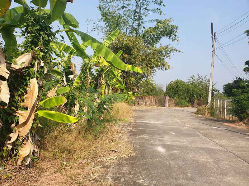 Discover the perfect plot for your dream home. 