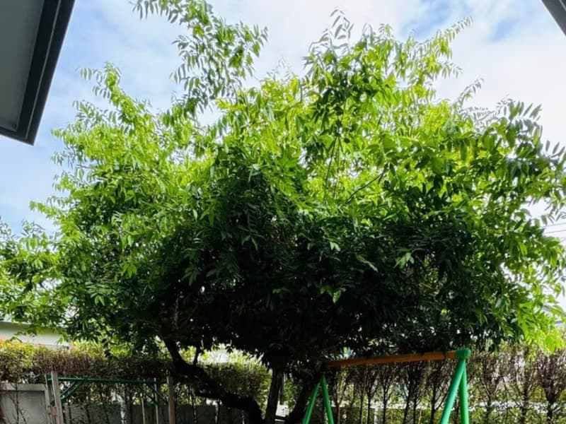 4 Bed House for Sale in Hang Dong