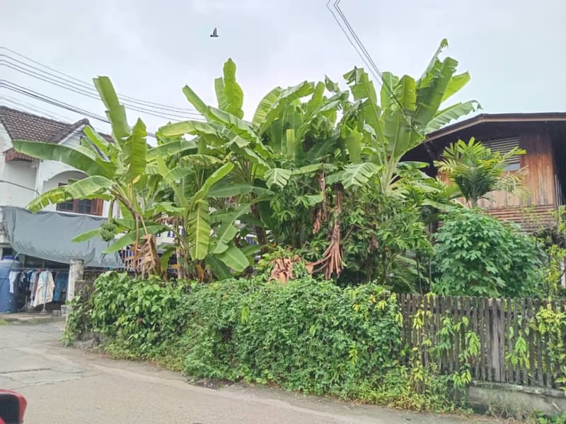 6 Bed House for Sale in Mueang Chiang Mai