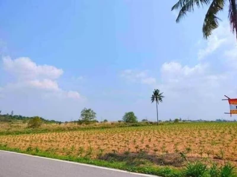  Land for Sale in Nong Yai District