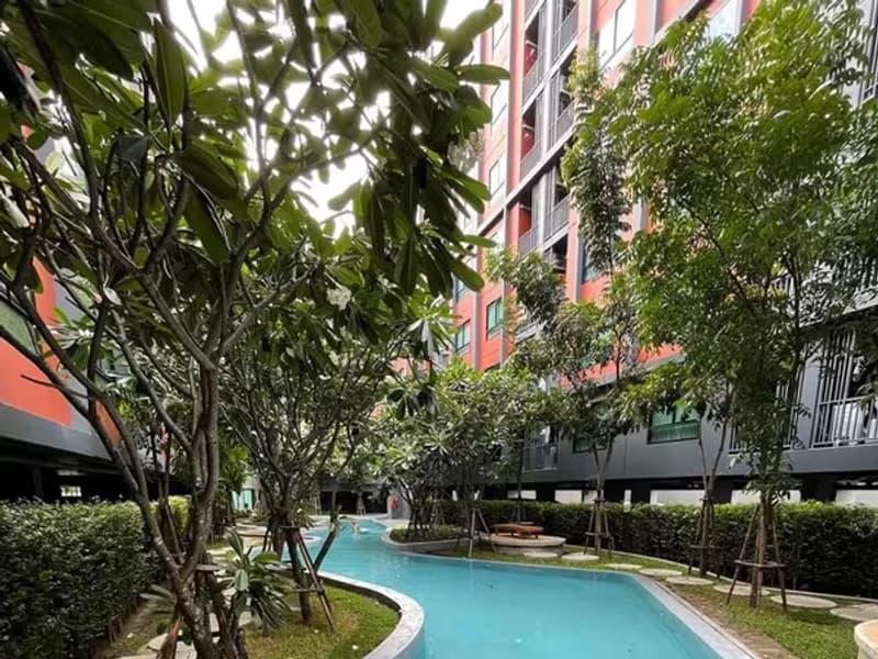 1 Bedroom Condo