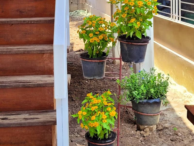 2 Bed House for Sale in Mueang Chiang Mai