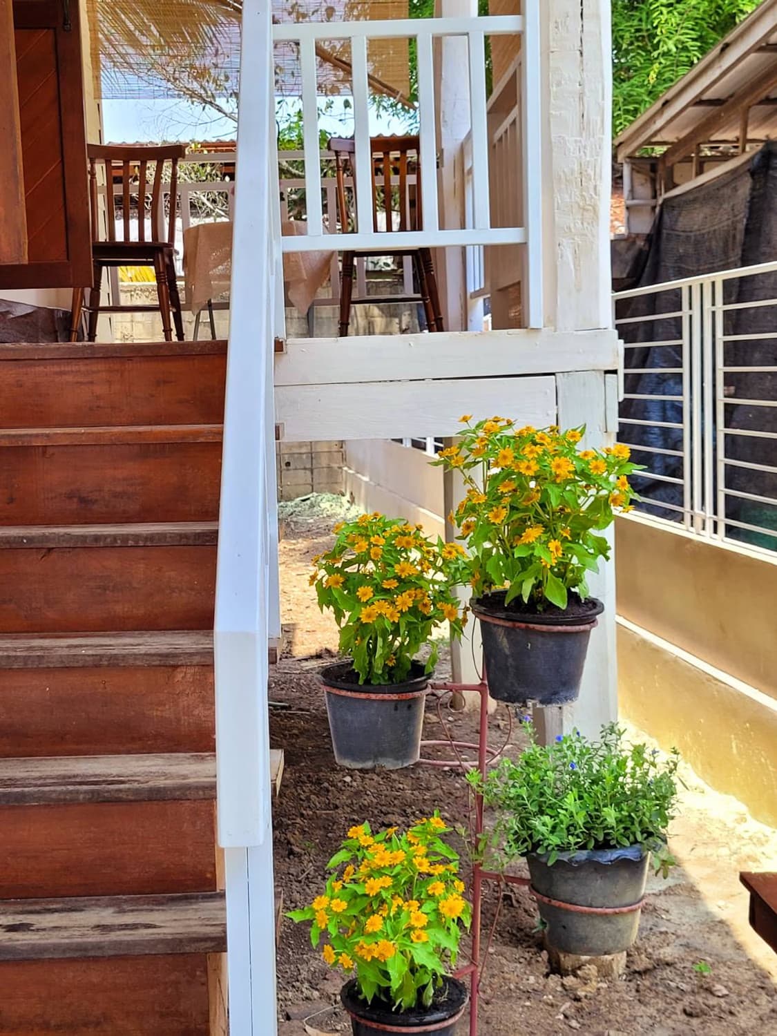 2 Bed House for Sale in Mueang Chiang Mai - Image 4
