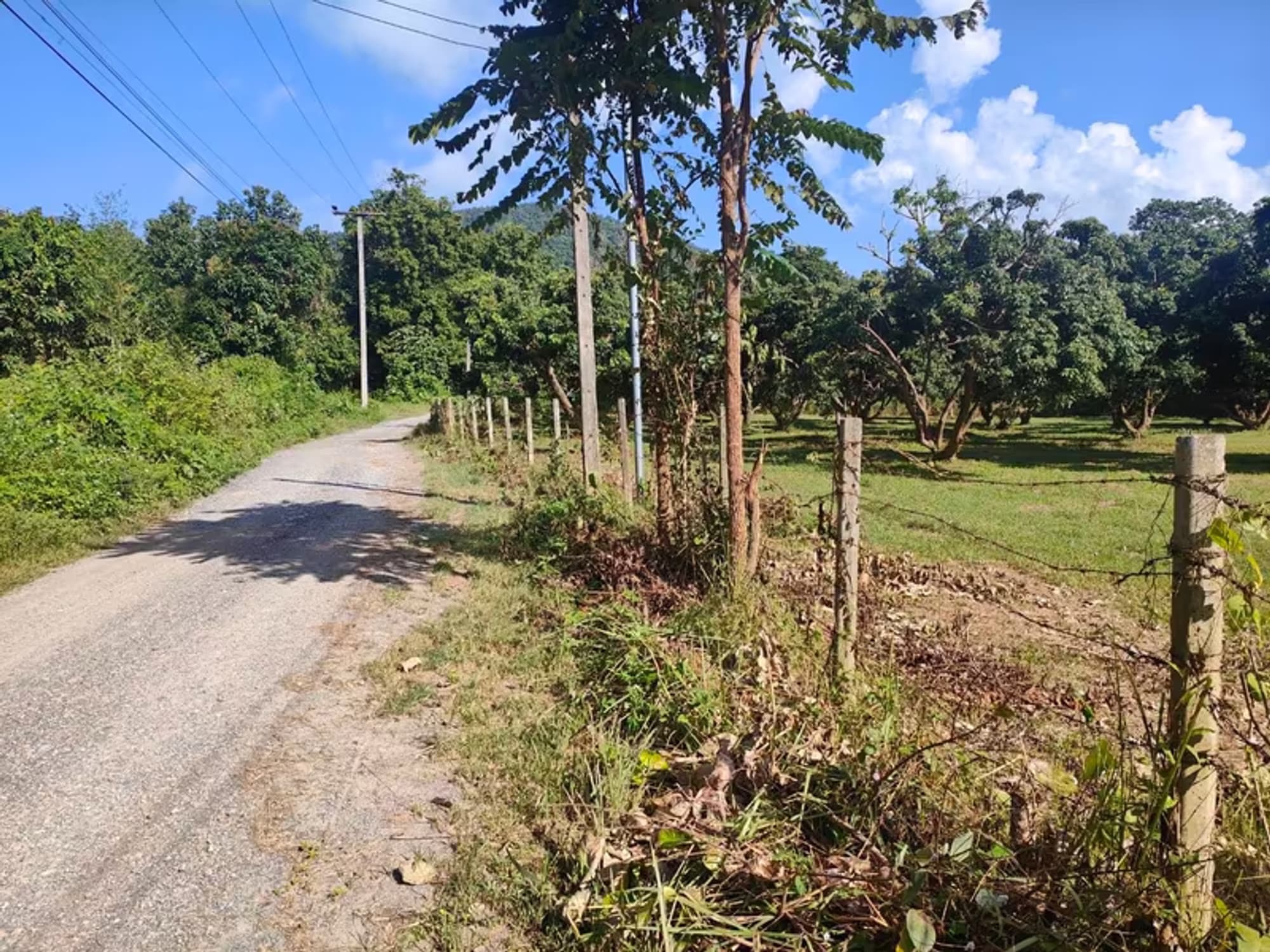 Land for Sale - Image 4