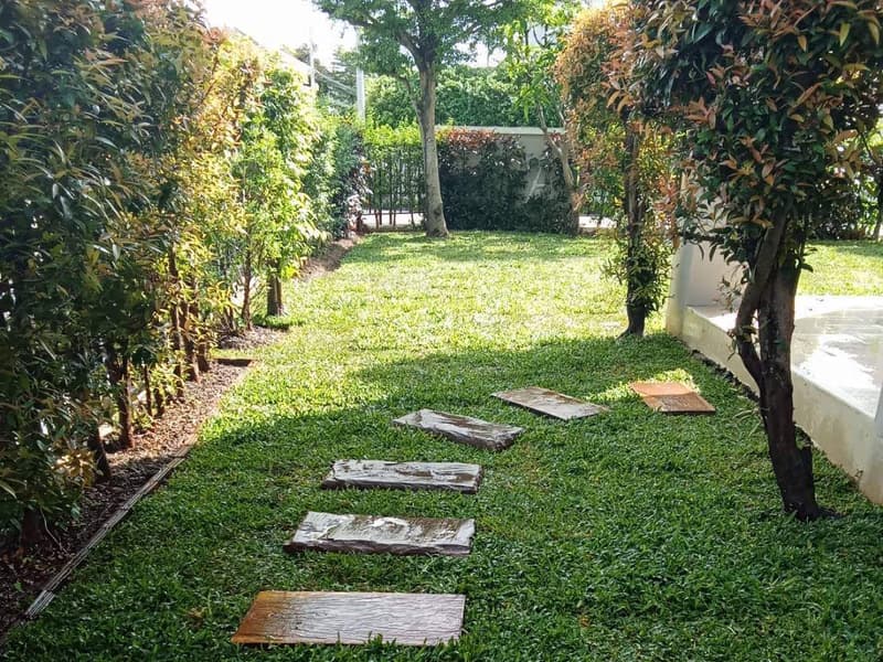 4 Bed House for Rent in Doi Saket