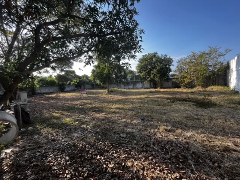 Land for Sale in Mueang Chiang Mai