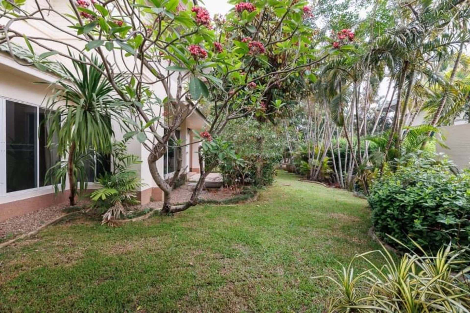 3 Bed House for Rent and Sale in Hang Dong - Image 11