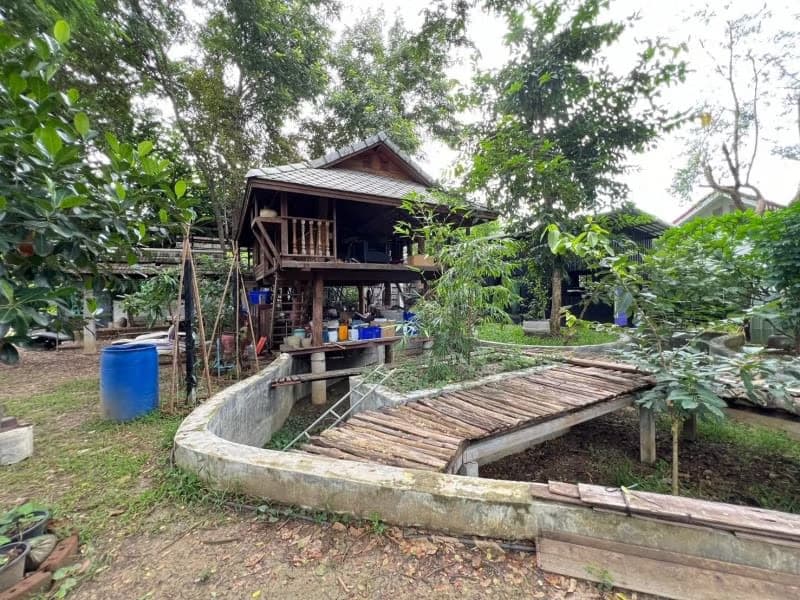 7 Bed House for Rent and Sale in Mueang Chiang Mai
