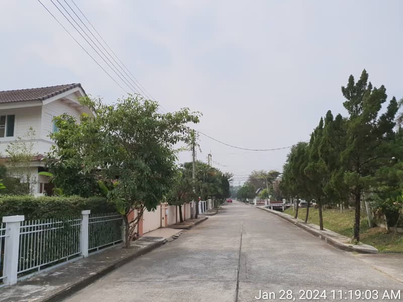 4 Bed House for Rent and Sale in San Kamphaeng
