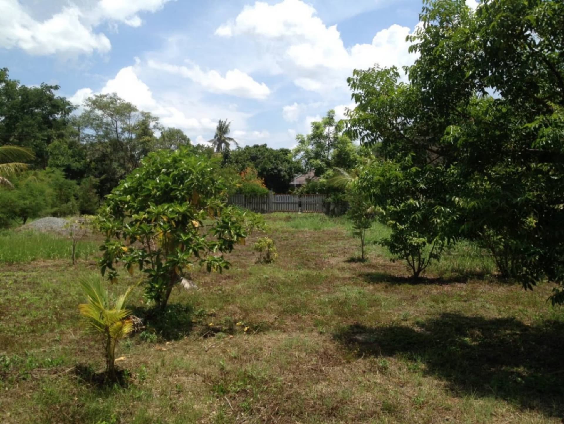  land 用于 出售 在 Saraphi - Image 7