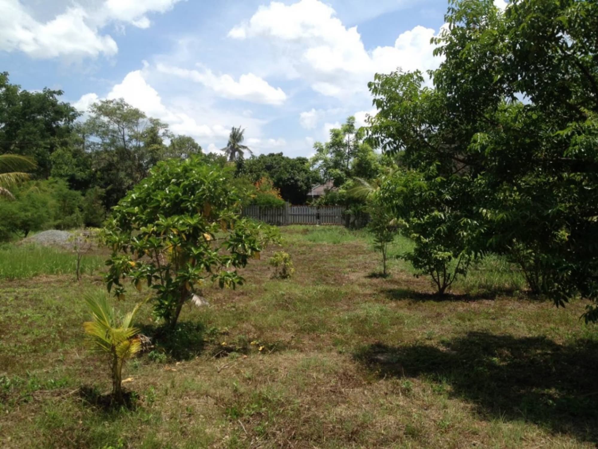  land สำหรับ ขาย ใน Saraphi - Image 7