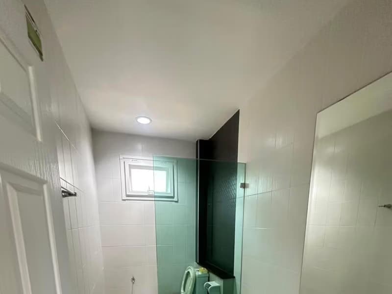 3 Bed House for Rent and Sale in San Sai