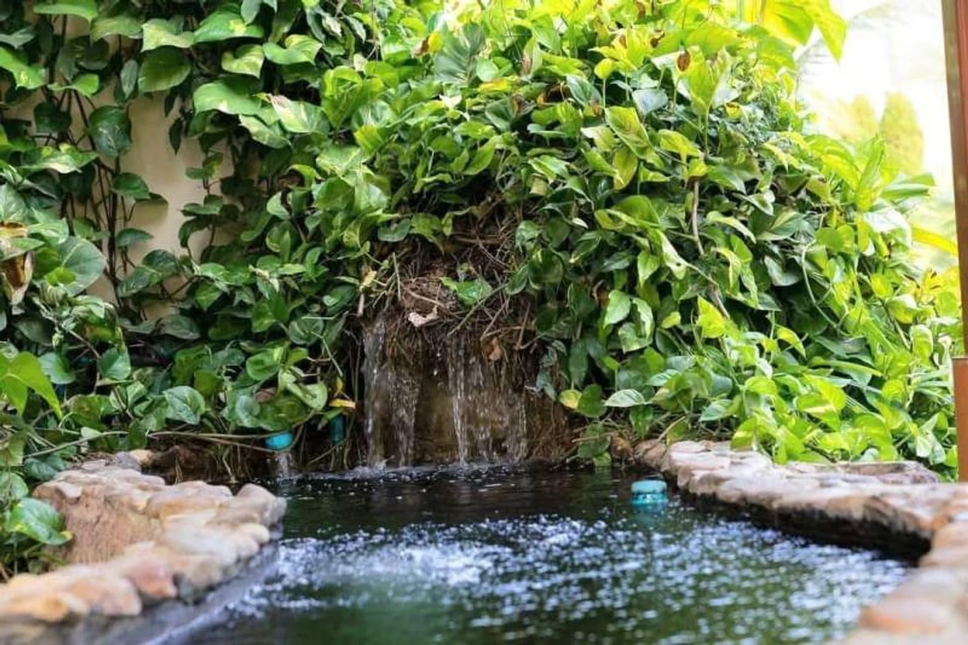6 Bed House for Sale in Saraphi District - Image 10