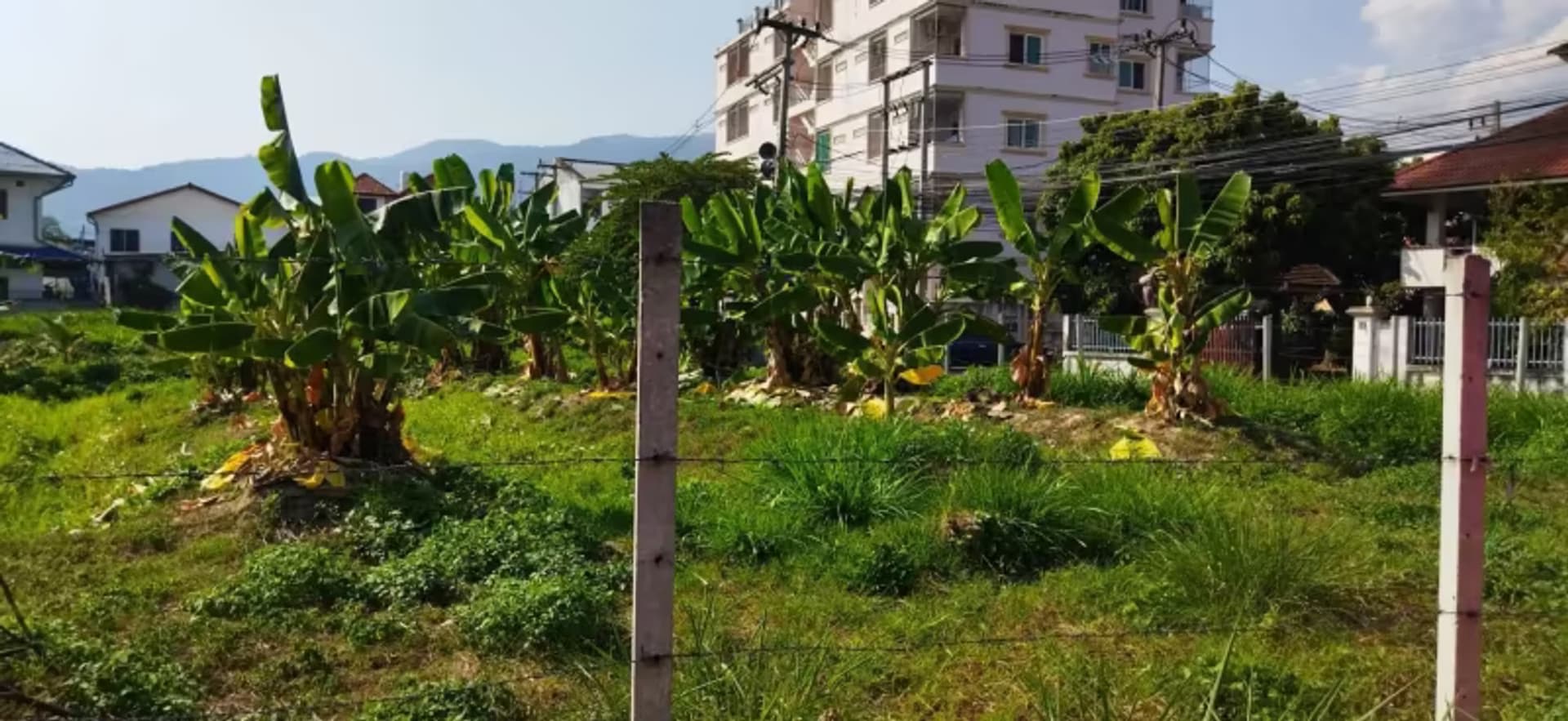 Land for Sale in  - Image 12