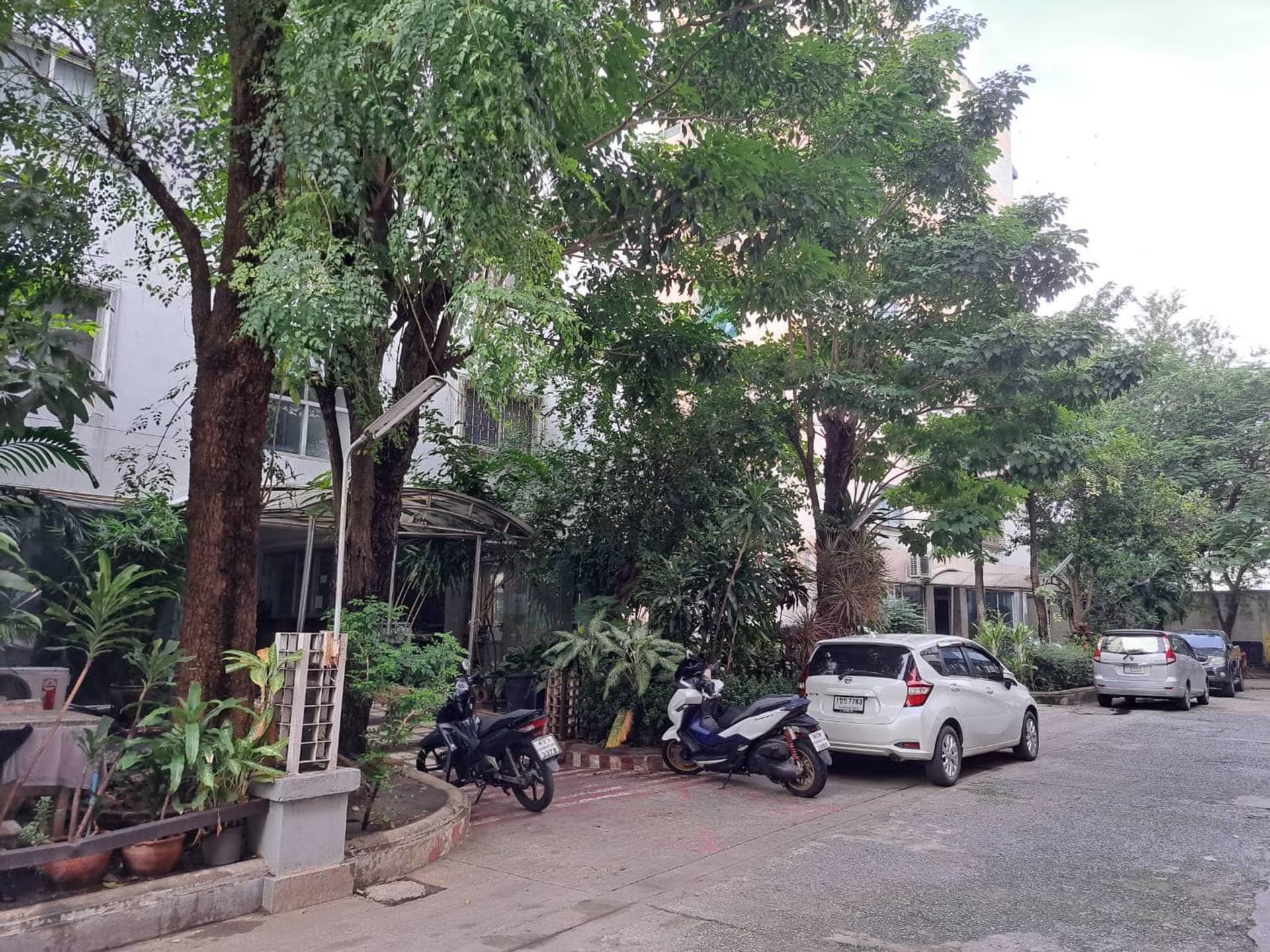Condo for Rent at Fifty Resident Condominium   - Image 11