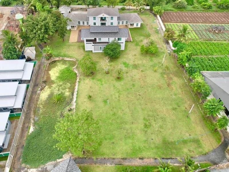 House for Sale, Rent in Pa Daet, Mueang Chiang Mai.